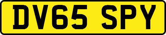 DV65SPY
