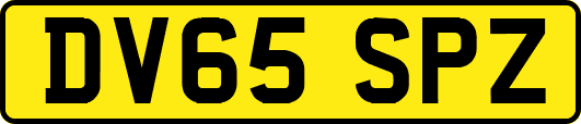 DV65SPZ