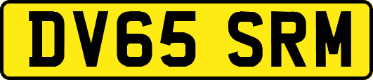 DV65SRM