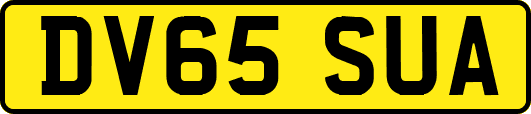 DV65SUA