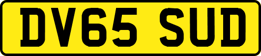 DV65SUD