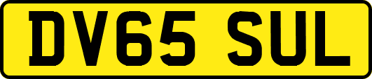DV65SUL