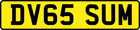 DV65SUM
