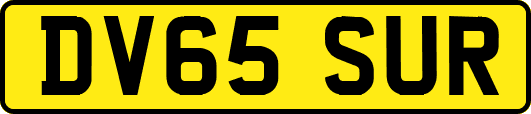 DV65SUR