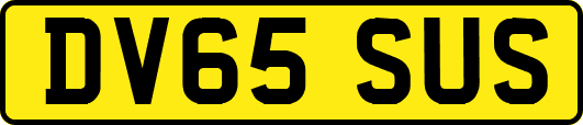 DV65SUS