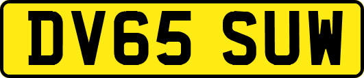 DV65SUW