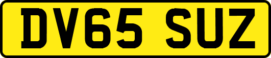DV65SUZ