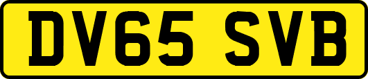 DV65SVB