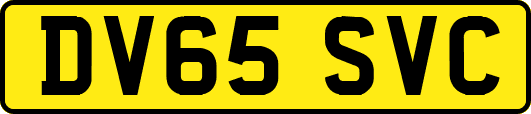 DV65SVC