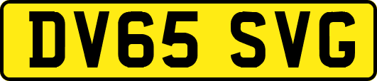 DV65SVG
