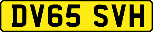 DV65SVH