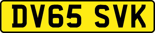 DV65SVK