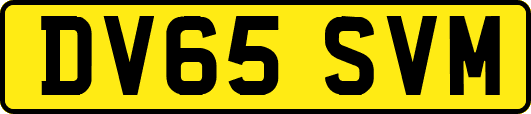 DV65SVM