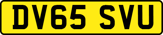 DV65SVU