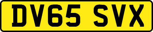DV65SVX
