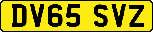 DV65SVZ