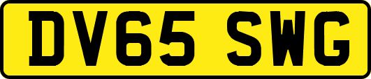 DV65SWG
