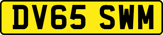 DV65SWM