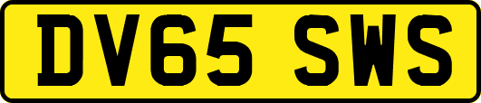 DV65SWS