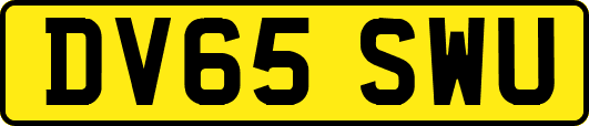 DV65SWU