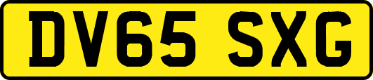 DV65SXG
