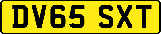 DV65SXT
