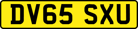 DV65SXU