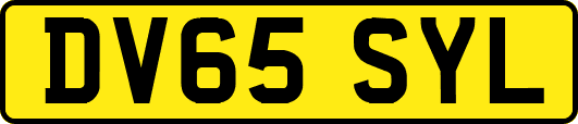 DV65SYL