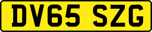 DV65SZG