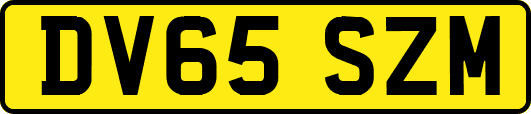 DV65SZM