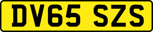 DV65SZS