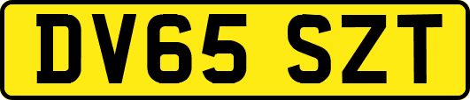 DV65SZT