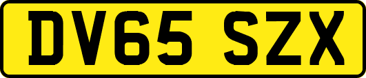 DV65SZX