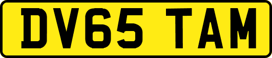 DV65TAM
