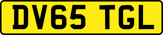 DV65TGL