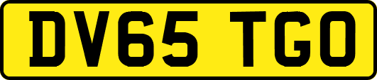 DV65TGO