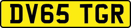 DV65TGR