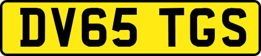 DV65TGS