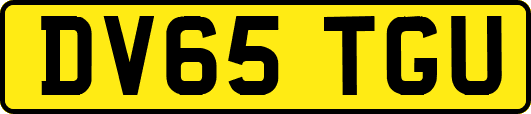 DV65TGU