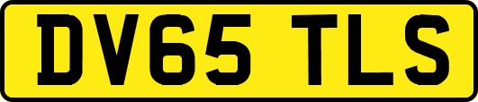 DV65TLS
