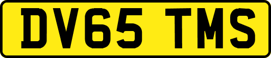 DV65TMS