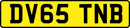 DV65TNB