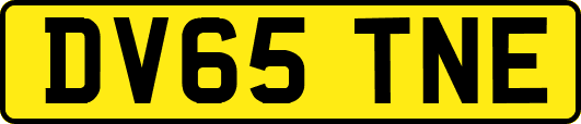 DV65TNE