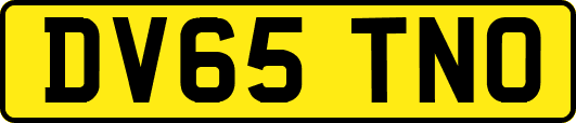 DV65TNO