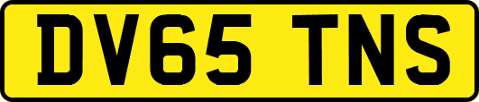 DV65TNS