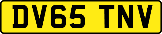 DV65TNV