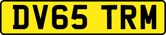 DV65TRM
