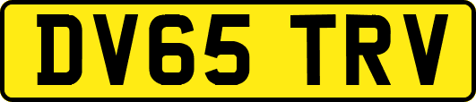 DV65TRV