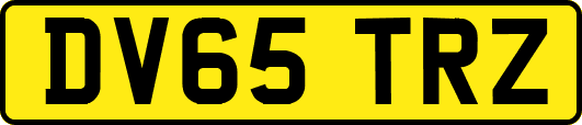 DV65TRZ