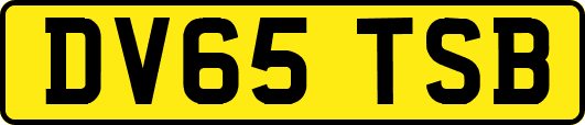 DV65TSB